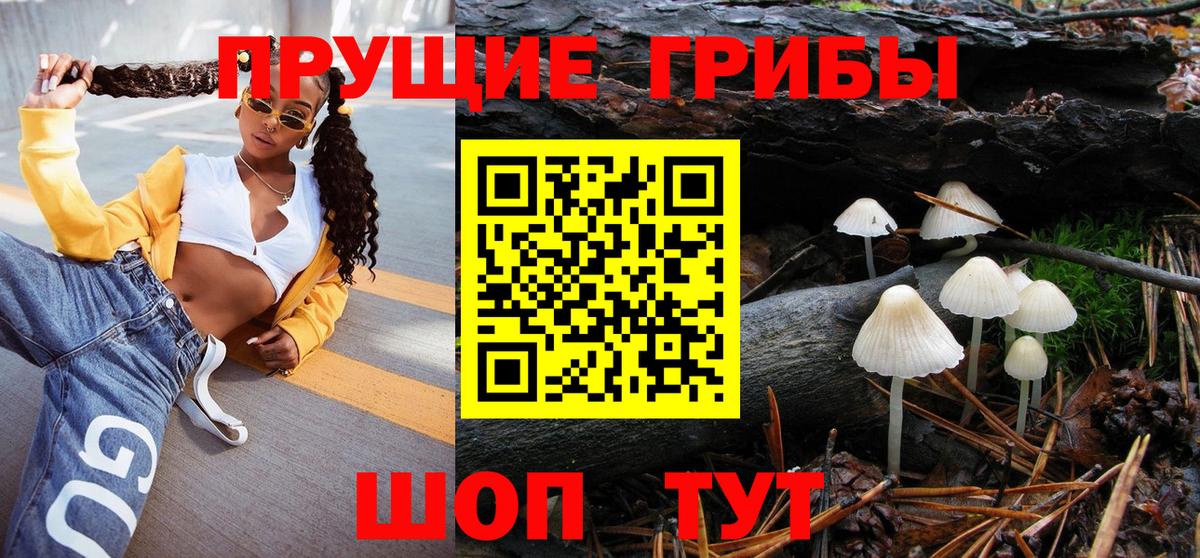 Тайшет  Галлюциногенные грибы ЛСД  Вход с VPN 